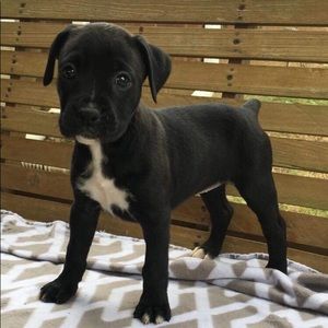 Meet your Posher, Hailey